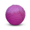 Purple Cabbage Βρεφικό παιχνίδι & παιχνίδι μπάνιου ΠΑΙΔΙΚΑ ΑΞΕΣΟΥΑΡ