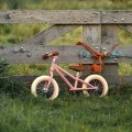 Litle Dutch Ποδήλατο Ισορροπίας  - Pink  ΕΚΠΑΙΔΕΥΤΙΚΑ ΠΑΙΧΝΙΔΙΑ