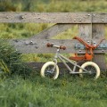 Litle Dutch Ποδήλατο Ισορροπίας  - Olive  ΕΚΠΑΙΔΕΥΤΙΚΑ ΠΑΙΧΝΙΔΙΑ